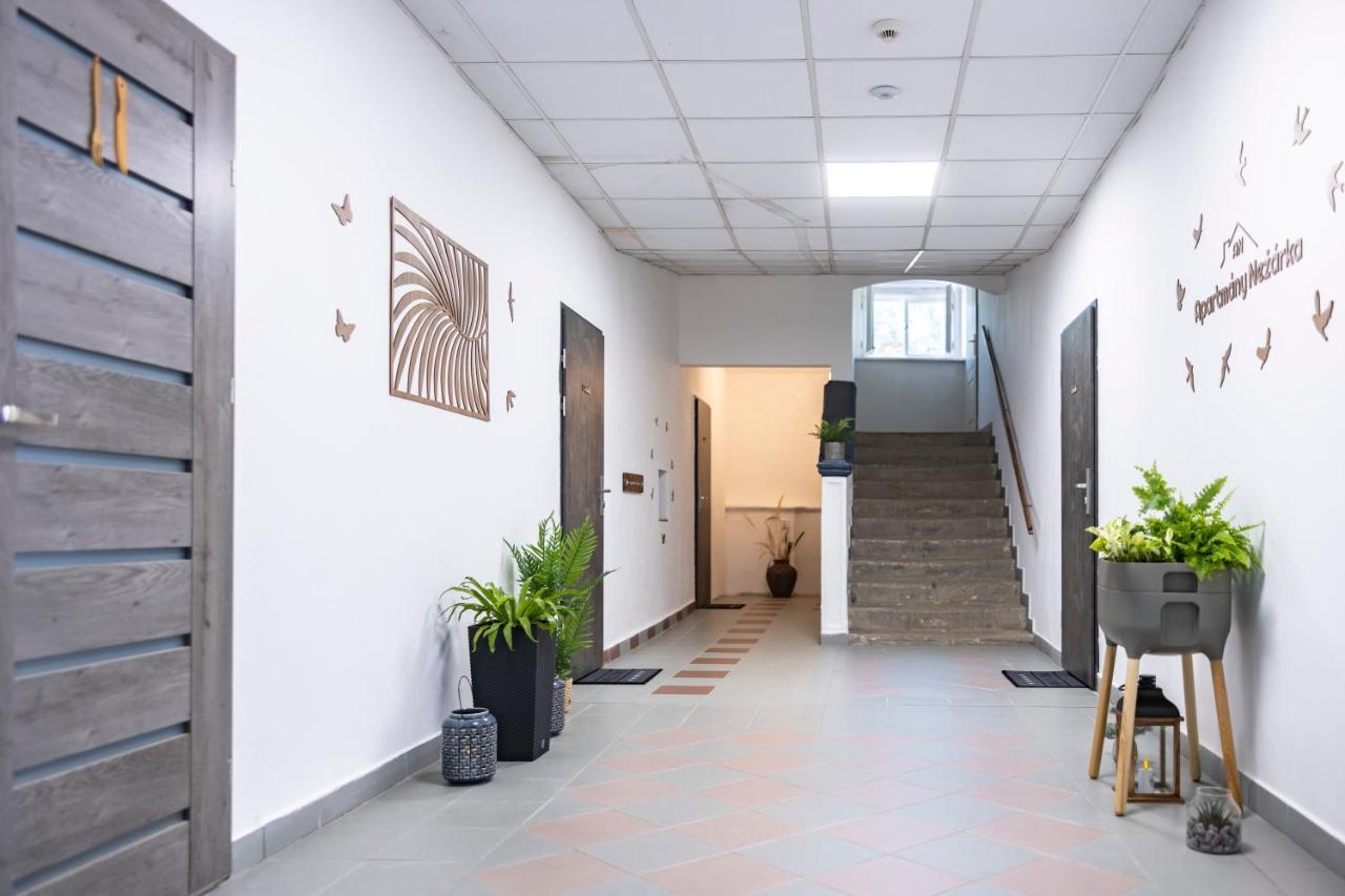Apartmany Nezarka A Privatni Wellness Jindrichuv Hradec Exterior photo