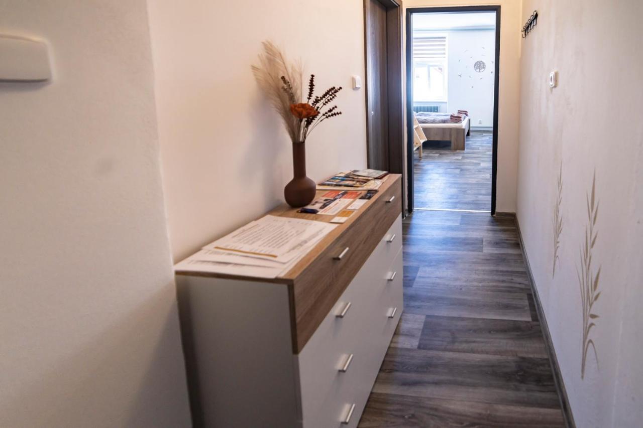 Apartmany Nezarka A Privatni Wellness Jindrichuv Hradec Exterior photo